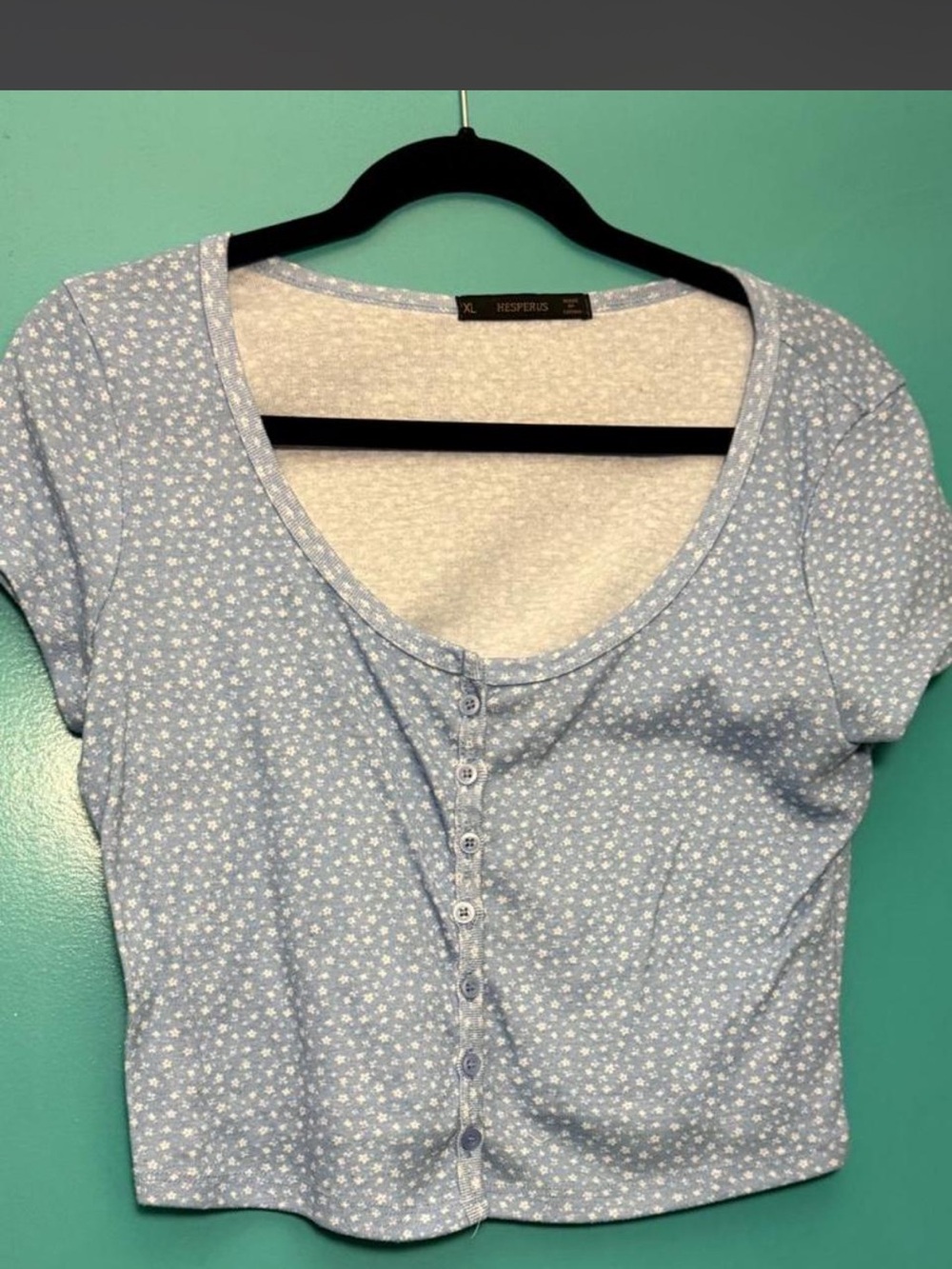 Hesperus Light Blue Floral Button-Front Crop Tee